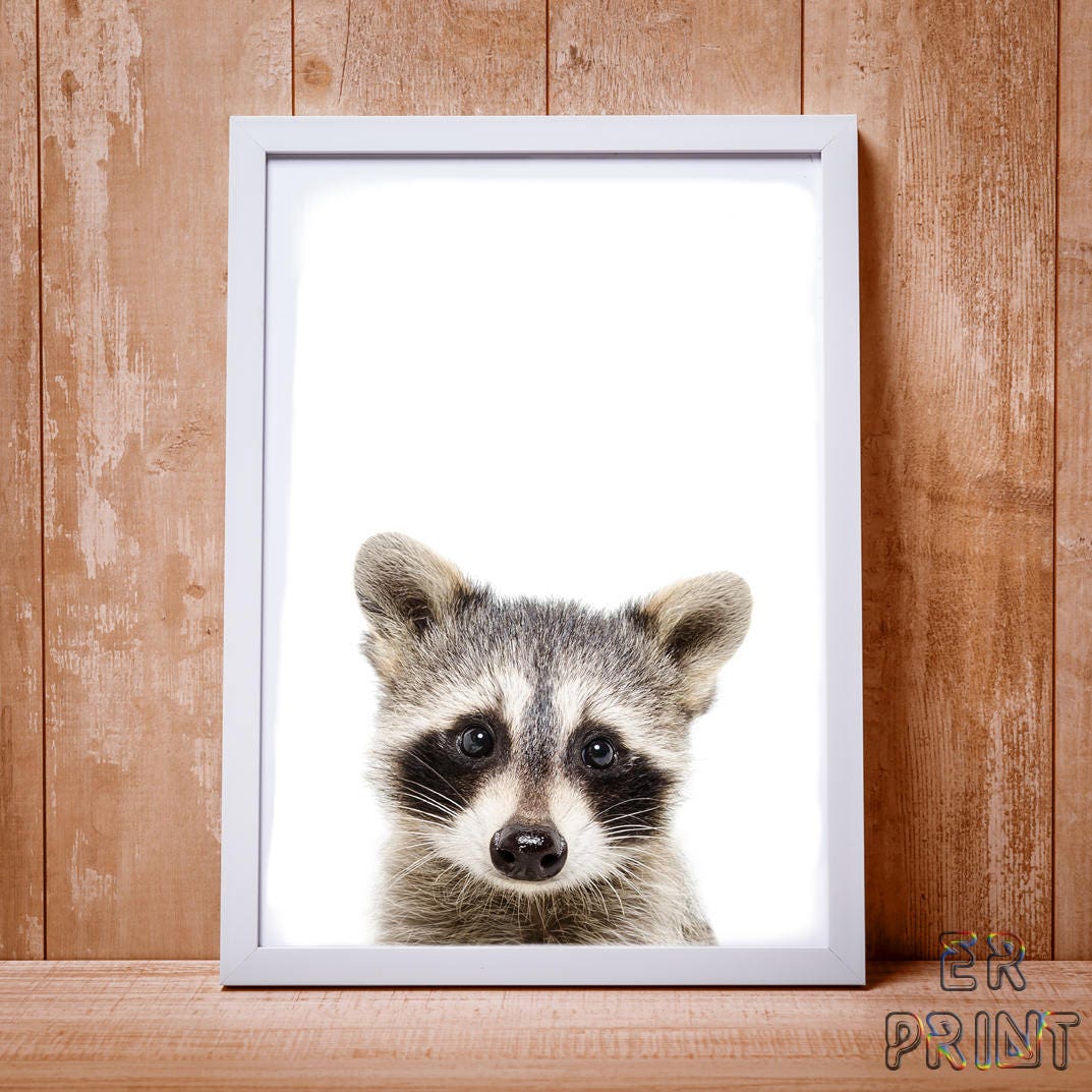 Raccoon Print Raccoon Wall Art Nursery Animal Print Nursery Etsy UK