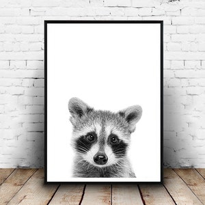 Racoon Print, Nursery Wall Art, Nursery Decor, Black and White, Baby Shower, Digital Download, Racoon Poster, Kids Room Decor, Racoon Photo image 2