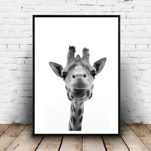 Giraffe Print, Giraffe Wall Art, Black and White, Nursery Decor, Safari Animal, Kids Room Decor, Large Poster, Animal Print, Giraffe Photo image 2