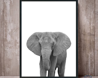 Elephant Print, Black and White, Elephant Art, African Art, African Animal, Safari Animal, Animal Print, Elephant Photo, Elephant Poster