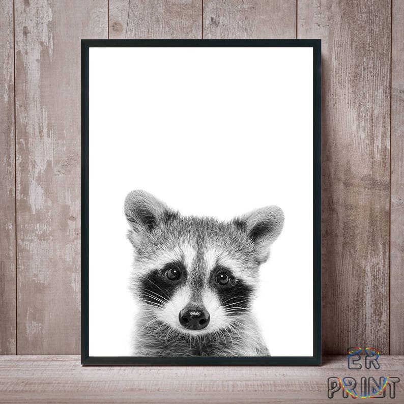 Racoon Print, Nursery Wall Art, Nursery Decor, Black and White, Baby Shower, Digital Download, Racoon Poster, Kids Room Decor, Racoon Photo image 1