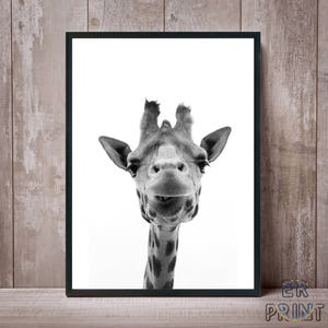 Drucken Sie Giraffe, Giraffe Wandbilder, schwarz und weiß, Kinderzimmer Dekor, Safari Tier, Kinderzimmer Dekor, große Poster, Animal-Print, Giraffe Foto
