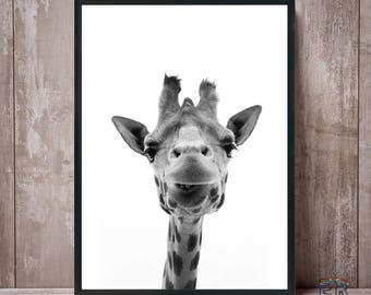 Giraffe Print, Giraffe Wall Art, Black and White, Nursery Decor, Safari Animal, Kids Room Decor, Large Poster, Animal Print, Giraffe Photo