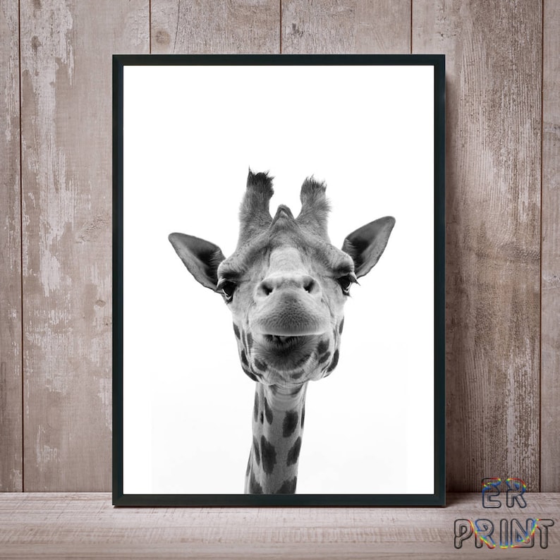 Giraffe Print, Giraffe Wall Art, Black and White, Nursery Decor, Safari Animal, Kids Room Decor, Large Poster, Animal Print, Giraffe Photo image 1