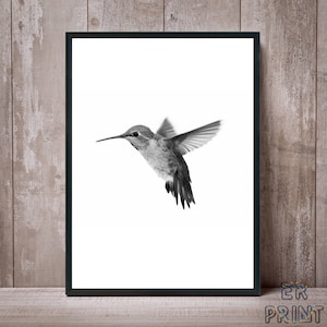 Impresión de colibríes, arte del colibrí, arte de la pared del colibrí, impresión colibri, colibrí blanco negro, impresiones de aves, colibri foto, cartel de Colibri