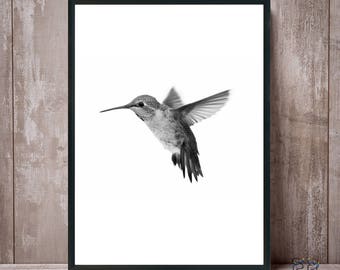 Hummingbird Print, Hummingbird Art, Hummingbird Wall Art, Colibri Print, Hummingbird Black White, Bird Prints, Colibri Photo, Colibri Poster