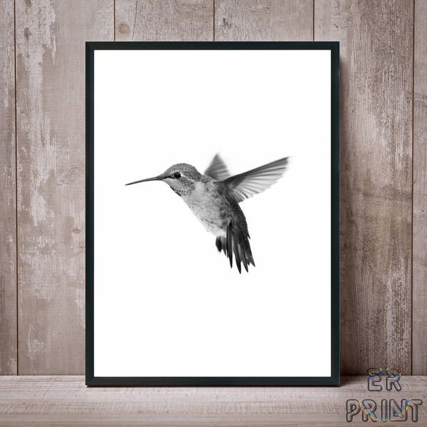 Hummingbird Print, Hummingbird Art, Hummingbird Wall Art, Colibri Print, Hummingbird Black White, Bird Prints, Colibri Photo, Colibri Poster