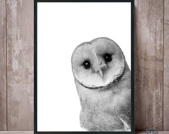 May include: Black and white framed print featuring a close-up of a barn owl. The owl has large, dark eyes and a heart-shaped face. The print is set against a white background, with a black frame. The owl is positioned on the right side of the frame.