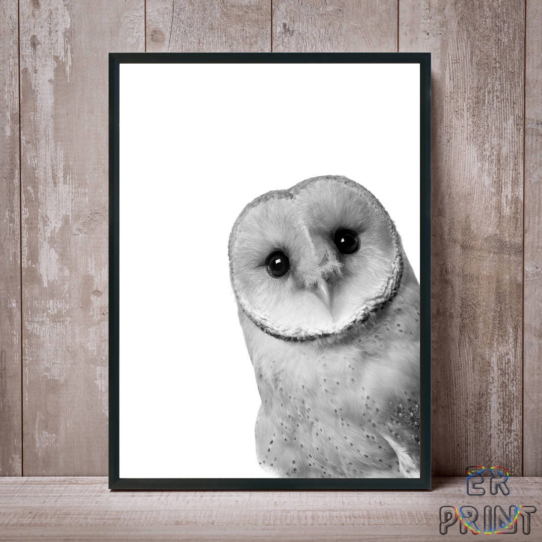 Owl Print, Nursery Decor, Owl Wall Art, Woodlands Wall Art, Black and White Owl, Bird Print, Bathroo