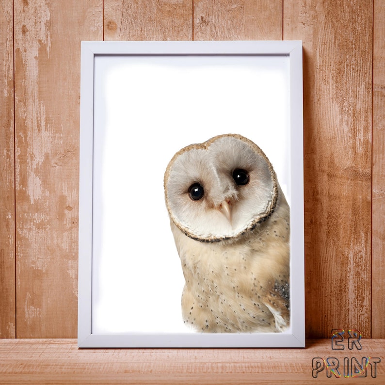 Owl Print Owl Wall Art Wilderness Wall Art Owl Decor Bird Etsy