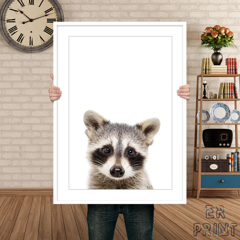 Raccoon Print Raccoon Wall Art Nursery Animal Print Nursery Etsy
