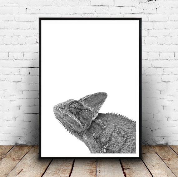 Cameleon Impression Cameleon Art Decoration Murale Exotique Etsy France
