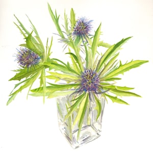 Scotland Thistle Floral Original Signed Fine Art Watercolor Painting - Still Life - Realism - Flower Art Landscape Free Ship