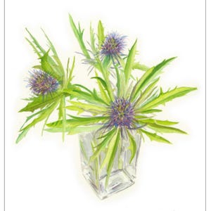Scotland Thistle Floral Original Signed Fine Art Giclee Print of Watercolor Painting - Still Life - Realism - Flower Art Landscape Free Ship