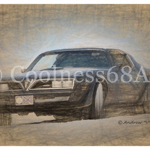 Bandit Original Art Print