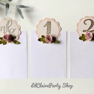First Birthday Photo Banner, Monthly baby pictures props, Pink Roses Milestone