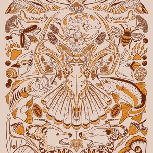 Missouri Flora & Fauna Native Wildlife Screen Printed Graphic Tee and Crewneck Sweatshirt, Cottagecore Gift, Light Academia Field Guide Art bild 4