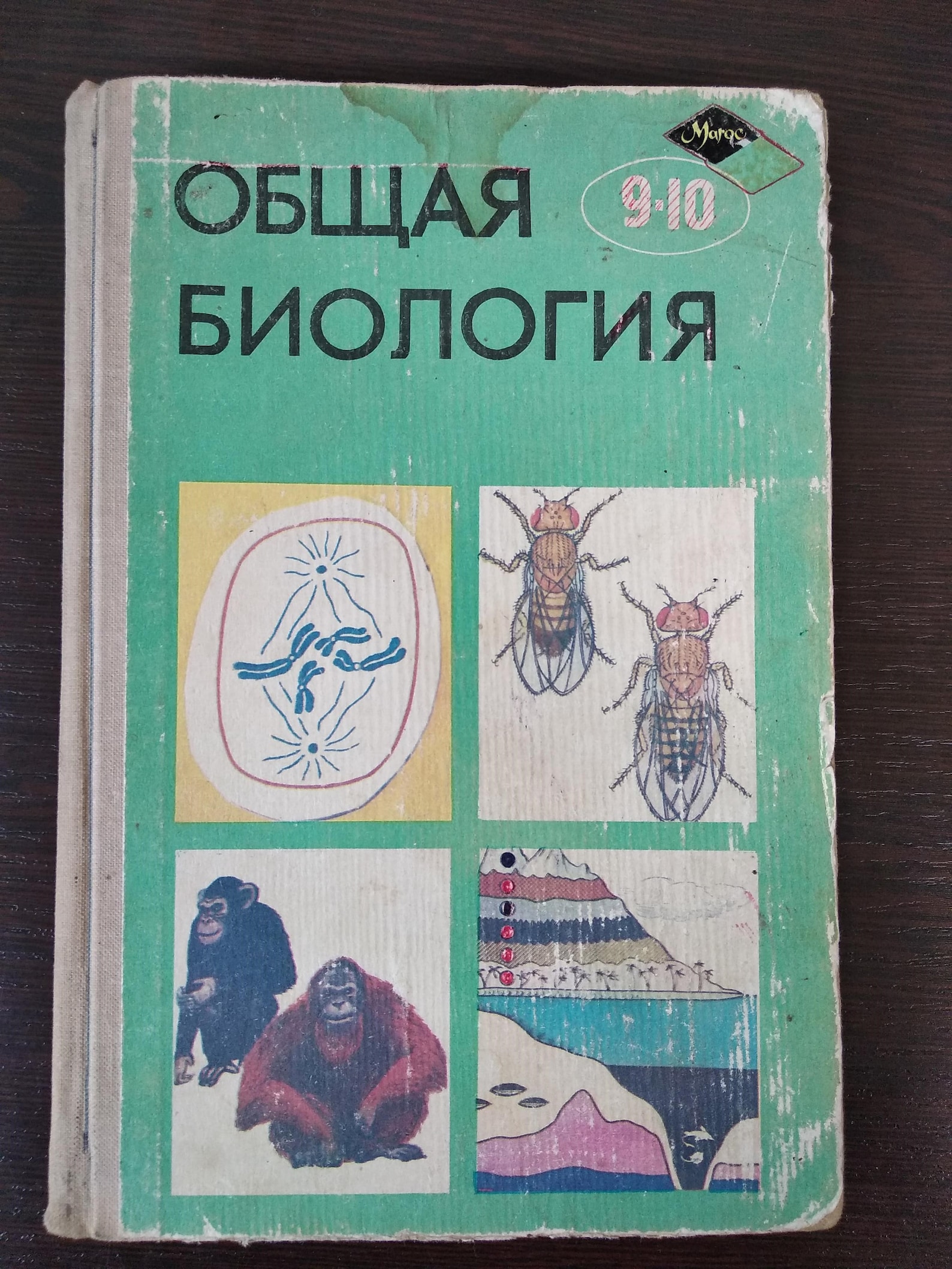 Советский учебник биологии. Советские учебники по биологии. Общая биология СССР. Советский учебник биология 10. Биология 9 домашнее