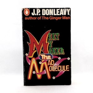 Meet My Maker the Mad Molecule by J P Donleavy 1967 Vintage Penguin Short Story Paperback Book of 27 short stories fiction lover gift