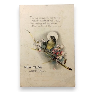 1918 Tuck New Year Postcard Yellow Bird on Flowering Branch WWI Irish-Mailed Ephemera with Verse and handwritten message
