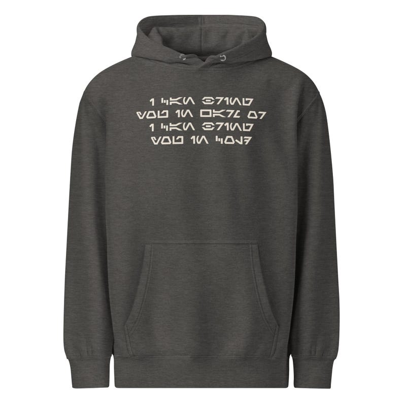 I Can Bring You In Warm or Cold Aurebesh Sci Fi Sweatshirt, Mandalorian Inspired Streetwear, Bounty Hunter Graphic Hoodie