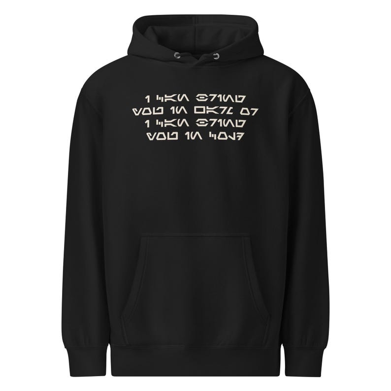 I Can Bring You In Warm or Cold Aurebesh Sci Fi Sweatshirt, Mandalorian Inspired Streetwear, Bounty Hunter Graphic Hoodie