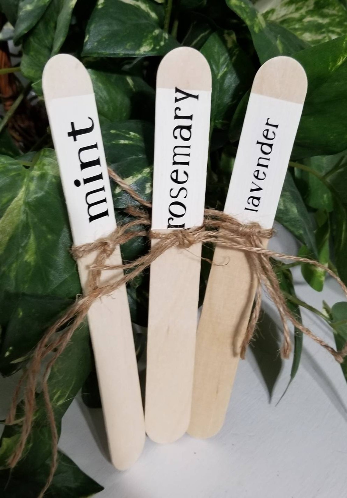 Herb labels set of 10 plant sticks herb garden markers Etsy