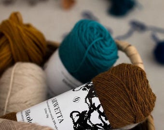 FILCOLANA ARWETTA Merino Wool Blend, Sock Weight Yarn (50 grams, 230 yards)