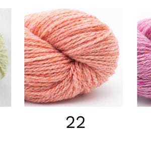 BC Garn LOCH LOMOND Gots Organic tweed wool by 50 grams 150 meters (164 yards) Light worsted weight yarn 22 Salmon