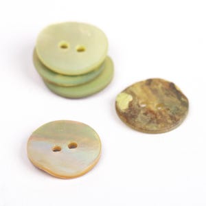 ライトグリーンボタン 15 mm - マザーオブパールボタン - シェルボタン - ベビーボタン - ベビー用ボタン | 数量 1 個