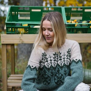 May include: A woman wearing a green and white knitted sweater with a geometric pattern. The sweater has a crew neck and long sleeves. The woman is sitting on a wooden bench in front of a green crate.