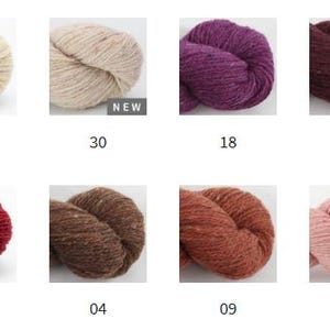 BC Garn LOCH LOMOND Gots Organic tweed wool by 50 grams 150 meters (164 yards) Light worsted weight yarn image 4