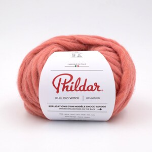 RÜCKVERKAUF Bunt Merino und Baby Alpaka Mischung Big Wool von Phildar Dicke Wolle 100 g, 55 Meter