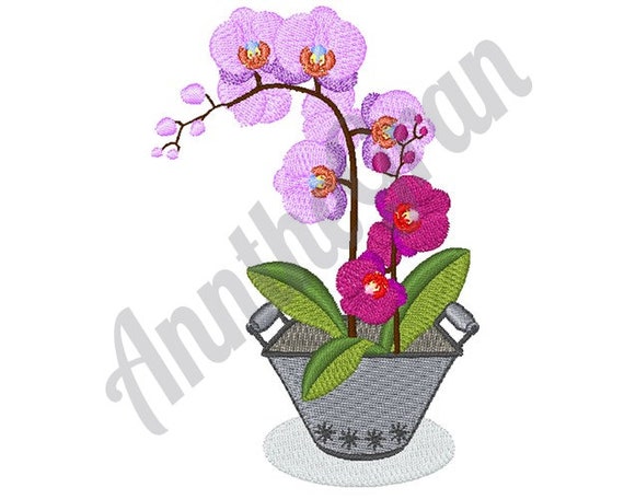 Diseño de bordado de macetas de orquídeas. Diseño de bordado a - Etsy México Diseño de bordado de macetas de orquídeas. Diseño de bordado a - Etsy México