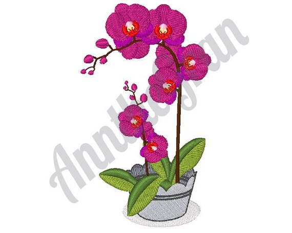 Diseño de bordado de macetas de orquídeas. Diseño de bordado a - Etsy México Diseño de bordado de macetas de orquídeas. Diseño de bordado a - Etsy México