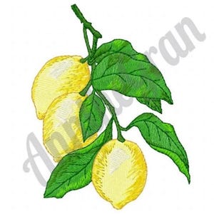 Lemon Tree Embroidery Design. Lemon Pattern. Lemon Embroidery Design. Machine Embroidery Design. Fruit Embroidery Design. Lemon Fruit Design