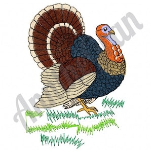 Turkey Embroidery Design. Machine Embroidery Design. Bird Embroidery Design. Thanksgiving Embroidery Design. Gobbler Embroidery Design