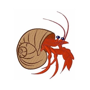 May include: A red hermit crab with brown stripes on its shell, with its claws extended out in front of it.
