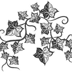 May include: Black and white embroidered ivy design. The image features a detailed illustration of ivy leaves and vines, perfect for embroidery projects or decorative applications. The leaves have a detailed, textured appearance.