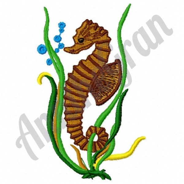 Seahorse Pumpkin Etsy