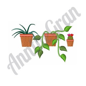 Op de afbeelding: Drie potplanten, waaronder een cactus met roze bloemen, een groene plant met lange bladeren en een groene plant met korte bladeren. Alle planten staan in terracotta potten.