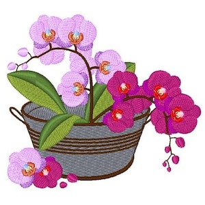 May include: A gray metal bucket with a brown rim filled with pink and purple orchids. The orchids are in bloom and have green leaves.