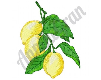 Lemon Tree Embroidery Design. Lemon Pattern. Lemon Embroidery Design. Machine Embroidery Design. Fruit Embroidery Design. Lemon Fruit Design