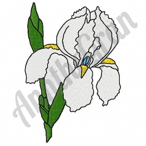 White Iris Embroidery Design. Machine Embroidery Design. Iris Pattern. Iris Floral Embroidery Pattern. Flower Pattern. White Iris Pattern