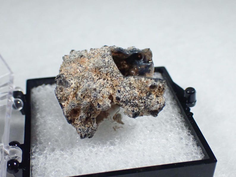 May include: A rough, textured mineral specimen with a mottled appearance featuring shades of tan, beige, gray, and dark brown. The stone has an irregular, porous surface with small crystalline inclusions and is displayed inside a black plastic box.
