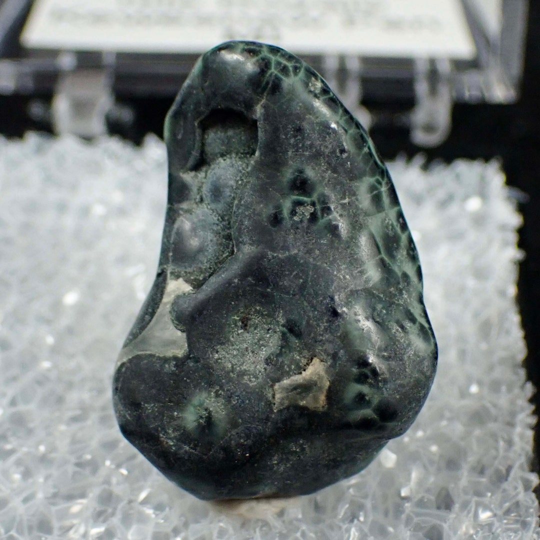 Chlorastrolite Aka Greenstone From Michigan. Rare. Gem. Etsy