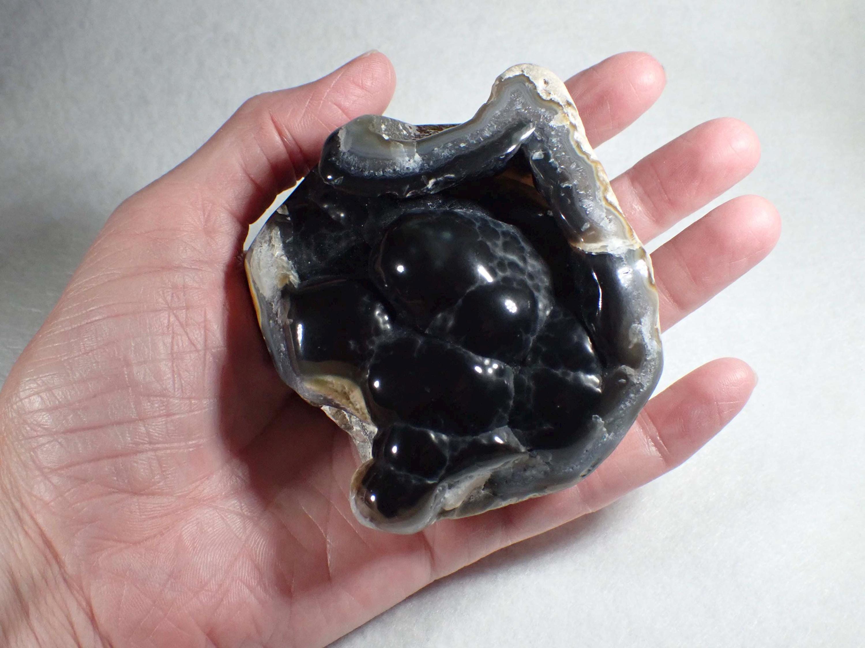 Large Agatized Coral - Etsy