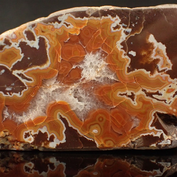 Polished Dryhead Agate from Montana. Fortification. Rare. Display. Mineral specimen.