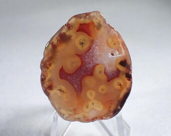 Coyamito Agate slice from Mexico. Polished. Transluscent.