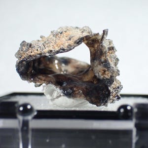 May include: A small, irregular, and porous mineral specimen with a rough, textured exterior in shades of beige and gray. The interior features a smooth, glossy, and dark brown to black cavity with a hollow, organic, and asymmetrical shape.